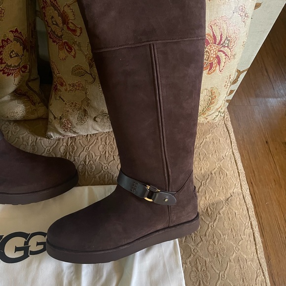 Ugg Tall Classic Berge Boot - Picture 2 of 6